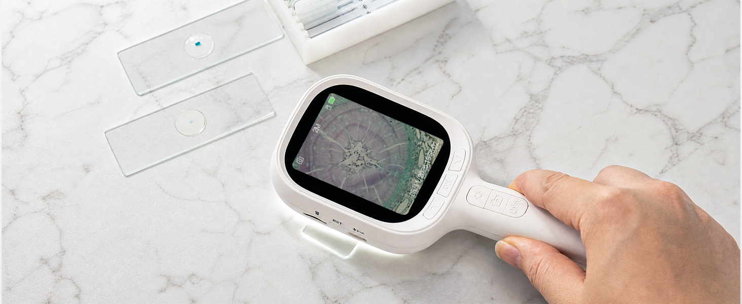 Magnifier