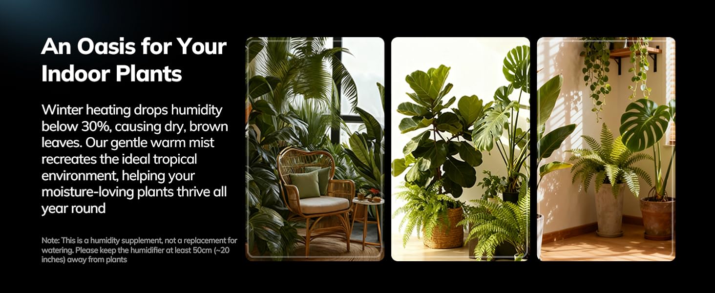 Warm Mist benefit