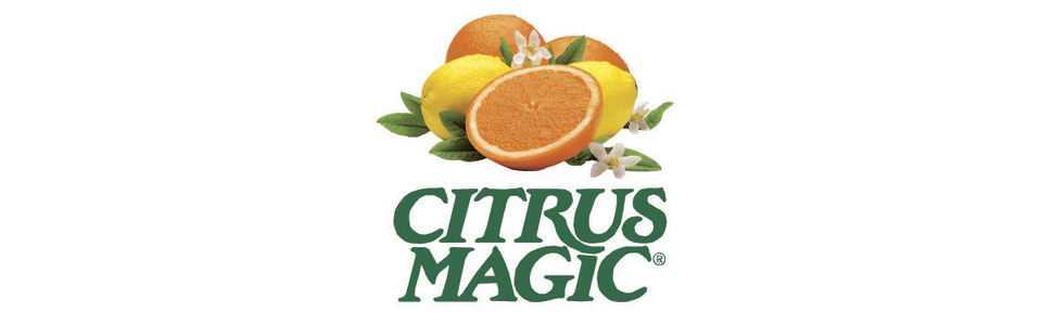 citrus magic, air freshener, solid air freshener, natural air freshener