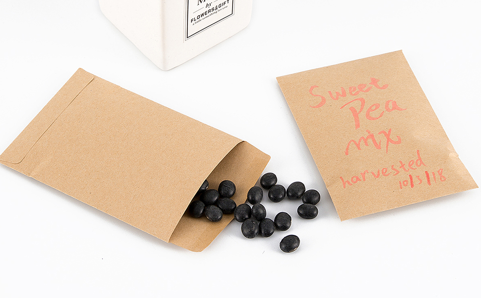 Seed Envelopes