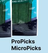 MicroPick Dental Picks for Teeth Cleaning with Zinc Oxide