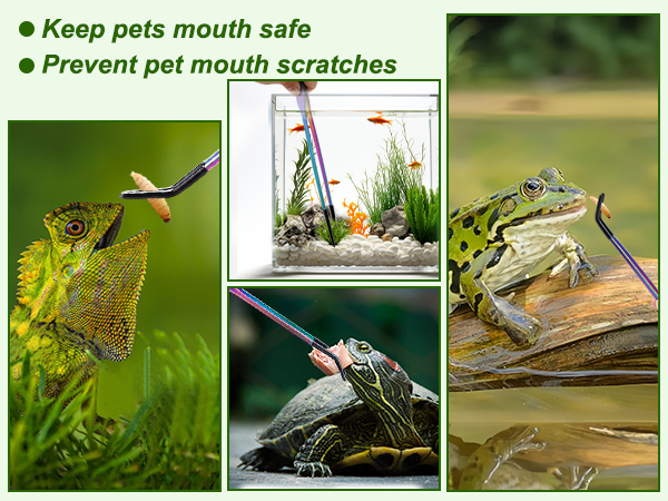 turtle tank accessories
