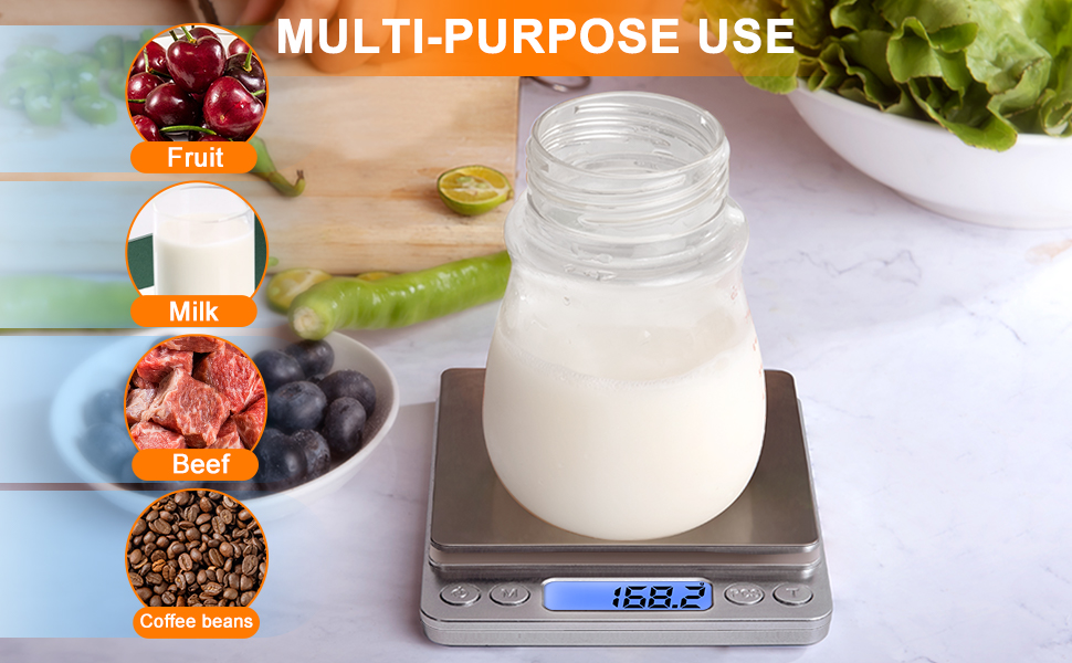 Gram scale