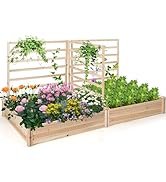 Giantex Raised Garden Bed with 3 Trellises, 88"L x 45"W x 43"H, Set of 2 Wood Planter Box for Veg...