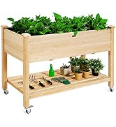 Giantex Raised Garden Bed on Wheels, Wood Planter Box with Legs, Liner, Drain Holes, Elevated Gar...
