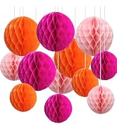 CC wonderland zone 12pcs Hot Pink and Orange Paper Honeycomb Balls,6