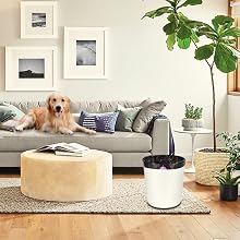 can be used in living room