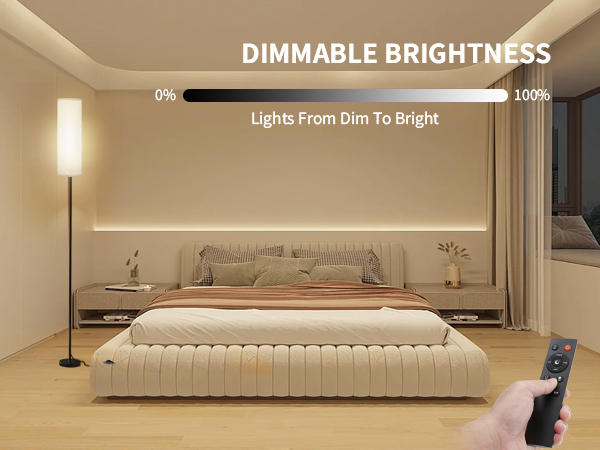 Frideko Floor Lamp with Dimmable Brightness