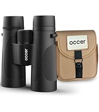 https://m.media-amazon.com/images/I/419E7n9Ic5L.__AC_SR200,225___.jpg
