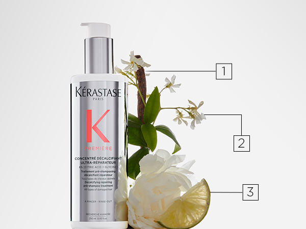 Premiere breakage repair clarify scalp luxury damage split ends shine smooth hair dull fine frizzy