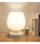 Touch Bedside Table Lamp - Modern Small Lamp for Bedroom Living Room Nightstand, Desk lamp with W...
