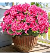 Artificial Geraniums Flowers for Outdoors Spring Decor, 8 Bundles UV Resistant Fake Geraniums Flo...