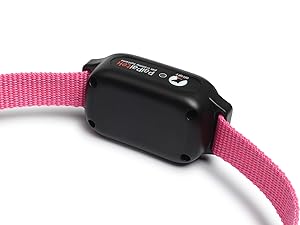 vibrate collar dog vibrating collar dog buzz collar dog beeping collar with remote