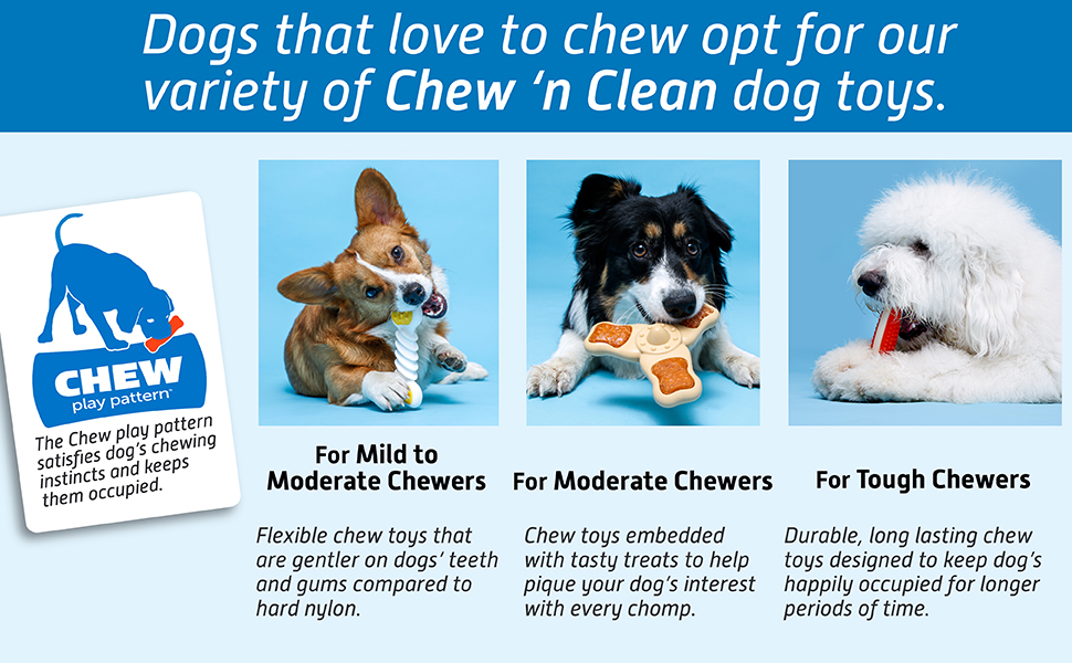 Chew Play Pattern