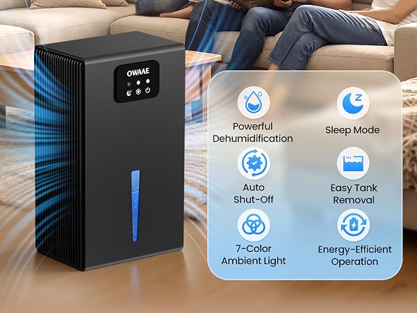 dehumidifiers for home