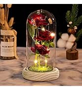 Axlksia Beauty and The Beast Rose Gift for Her, Glass Rose for Mom, Red Silk Rose Lasts Forever i...