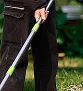 WORKPRO Thatch Rake, 15-Inch Thatching Rake for Lawns, Heavy Duty Dethatcher Rakes with 5FT Handl...