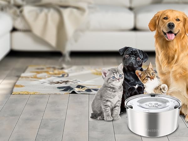 water bowl for dogs no spilling