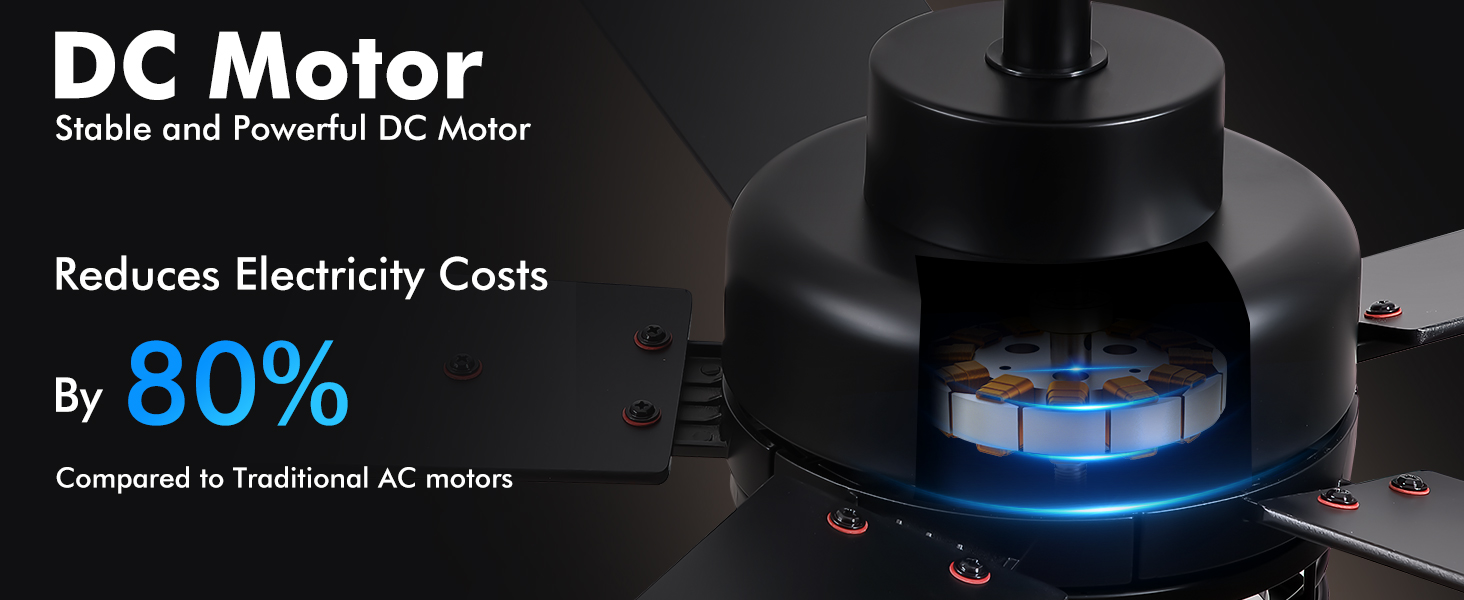 DC Motor