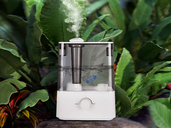demineralization cartridge for humidifier