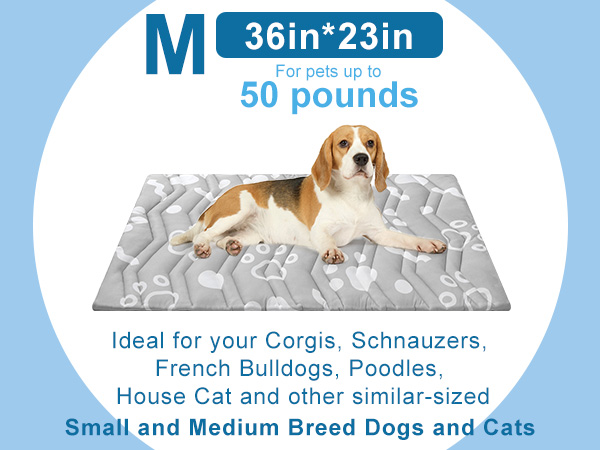 dog cooling mat