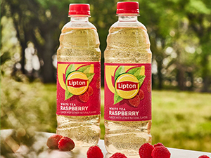 lipton