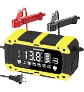 Battery Charger 12-Amp 12V and 24V LiFePO4 Car Battery Charger Battery Maintainer Trickle Charger...