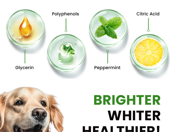 oxyfresh water additive for dogs