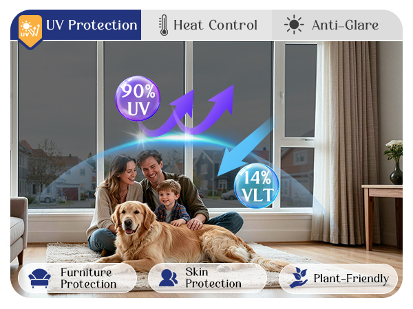 window tint for home