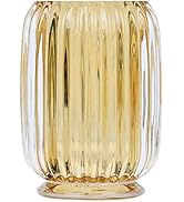 DASITON Makeup Brush holder Organizer,Crystal Cosmetic Makeup Brush Glass Brushes Storage Holder,...
