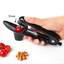 cherry pitter remover