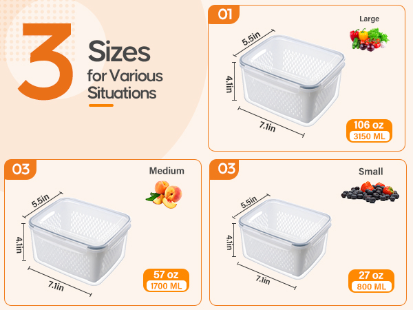 fruit containers for fridge