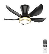 ceiling fan with light