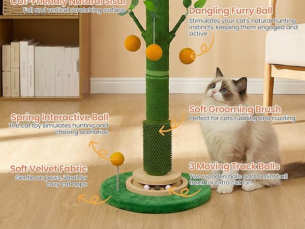 cat scratching post