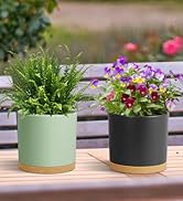 WSMKSZ 8/10/12 Inch Cylinder Flower Pot