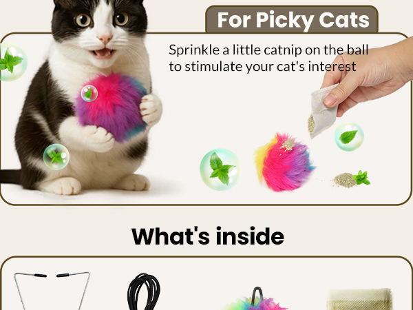 cat gift