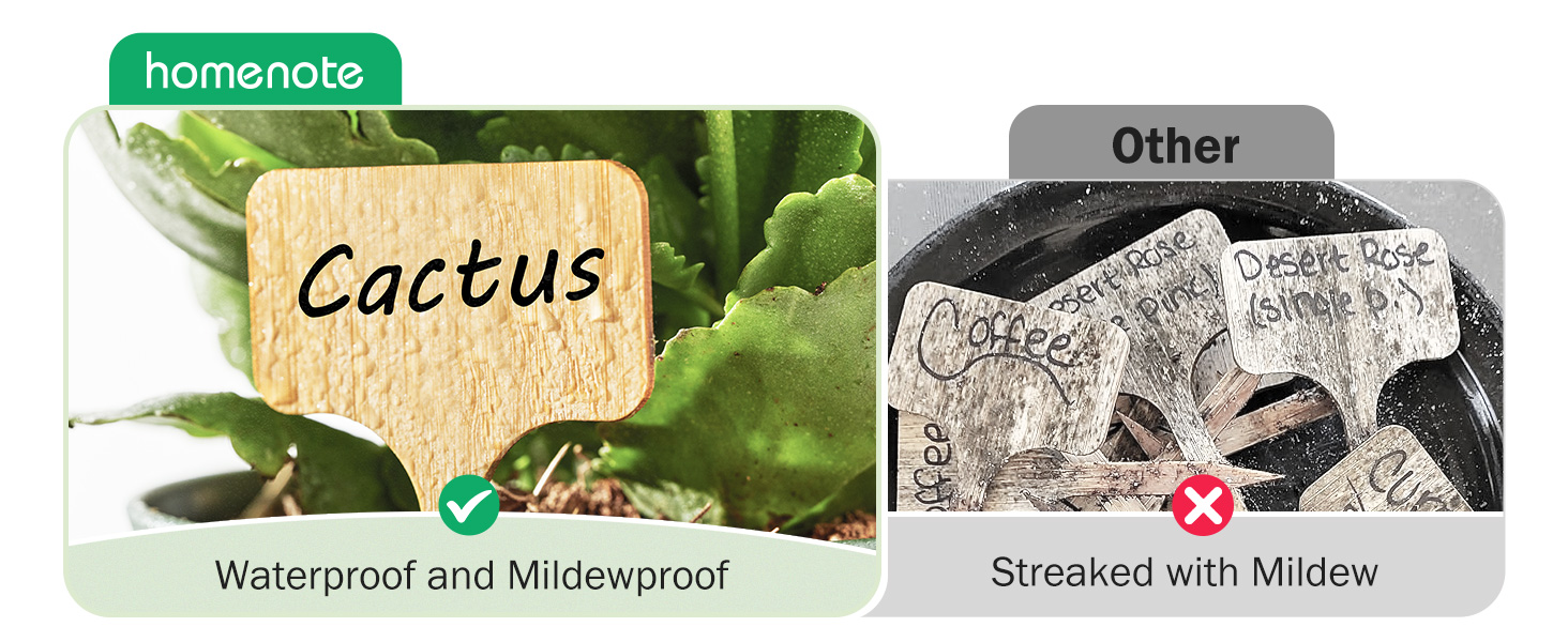 Bamboo Plant Labels