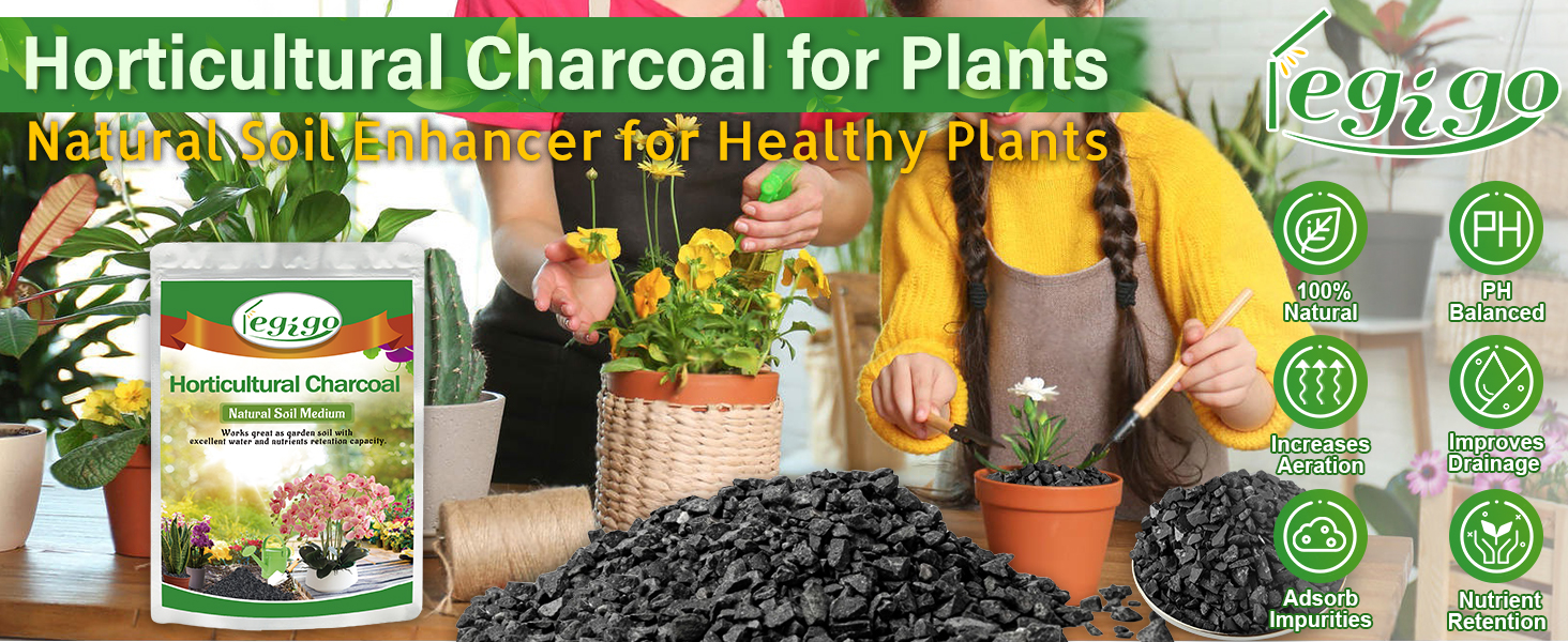 Horticultural Charcoal