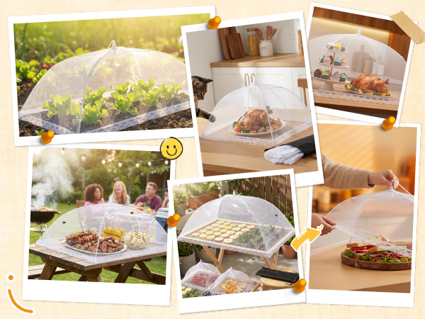 food tent