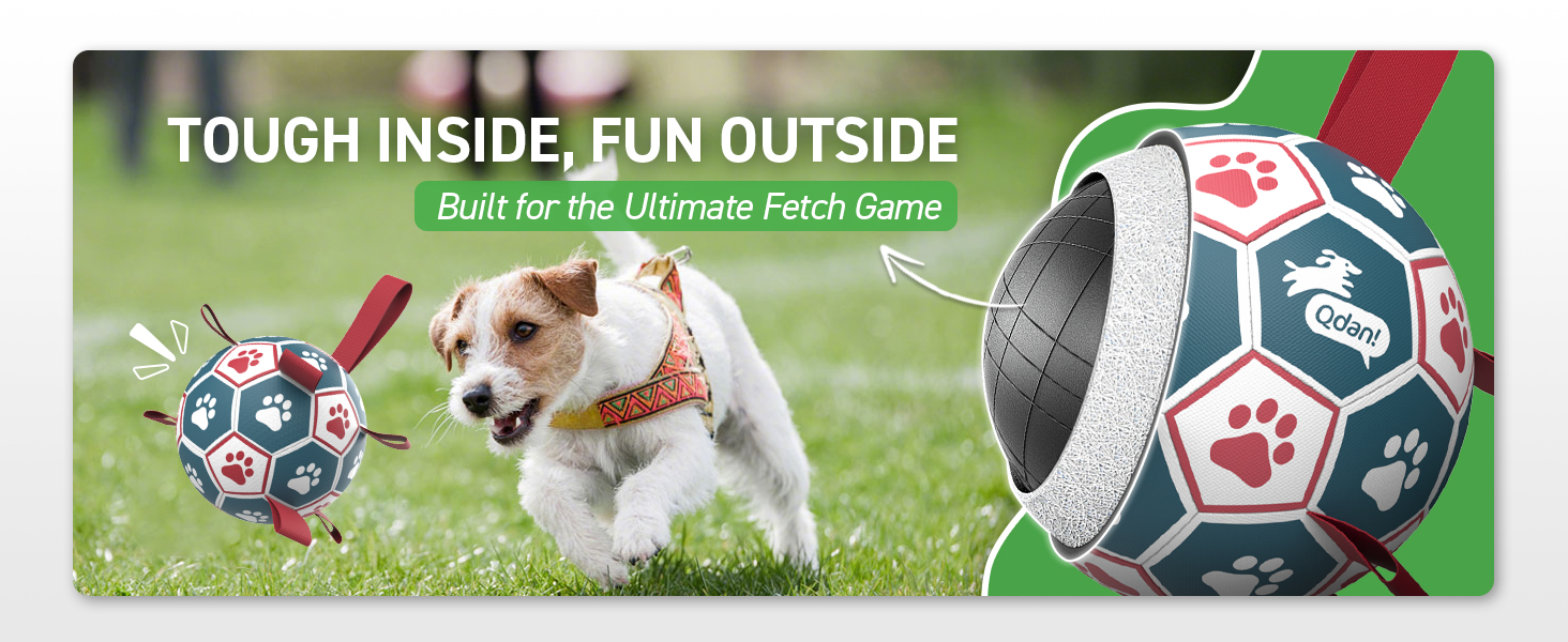 outdoor dog toys
