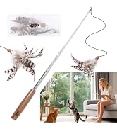 Lulu's world Retractable Cat Wand Toy - 46" Telescopic Feather Teaser for Indoor Cats & Kittens -...