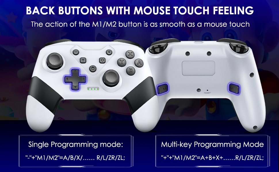 switch controller witch paddles