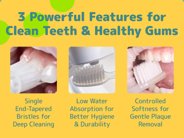 tooth brush for deep cleaning with low water absorption and controlled softness