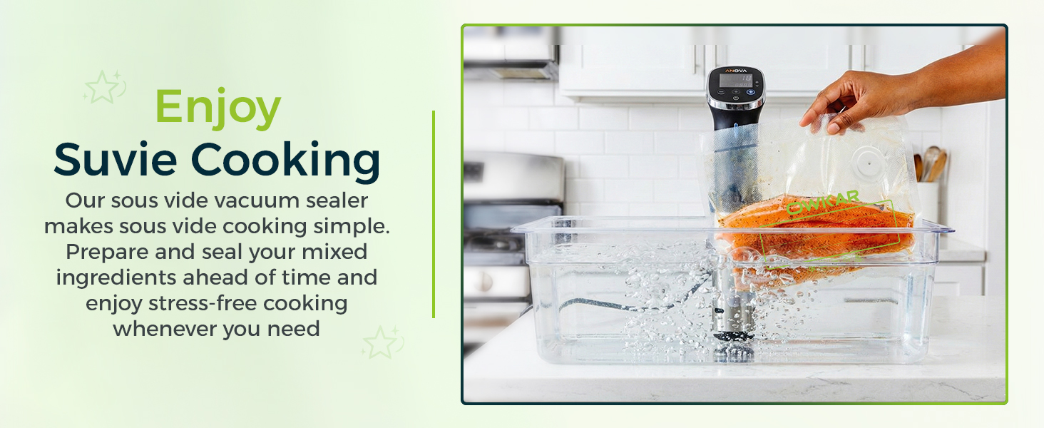 vacuum bag sealer handheld handheld food vacuum sealer portable food sealer vacuum sealer handheld