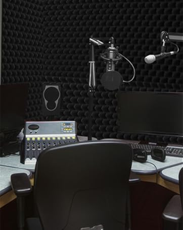 Sound absorbent cotton provides a professional environment for musicians and audio producers