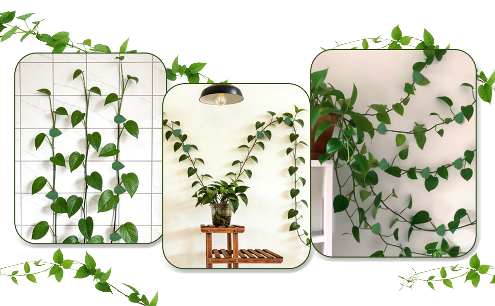 plant wall clips