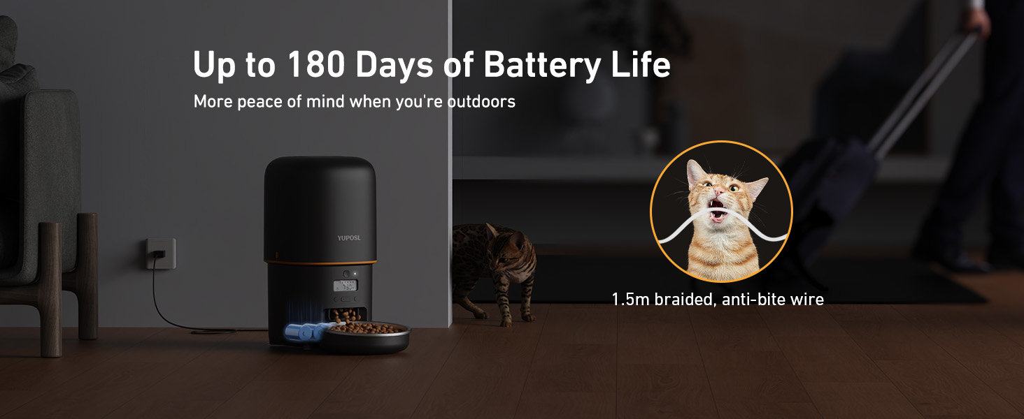 automatic cat feeder automatic cat food dispenser pet feeder