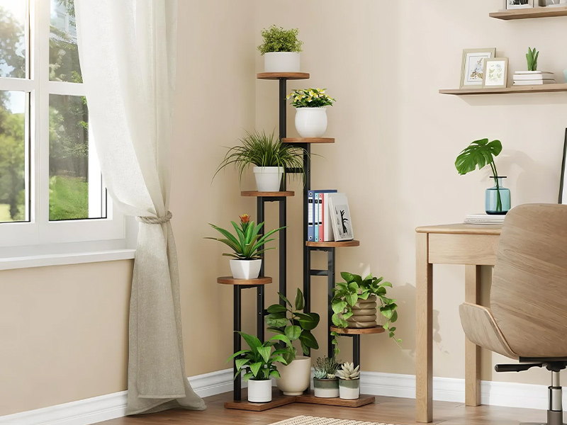 plant stand for multiple plants