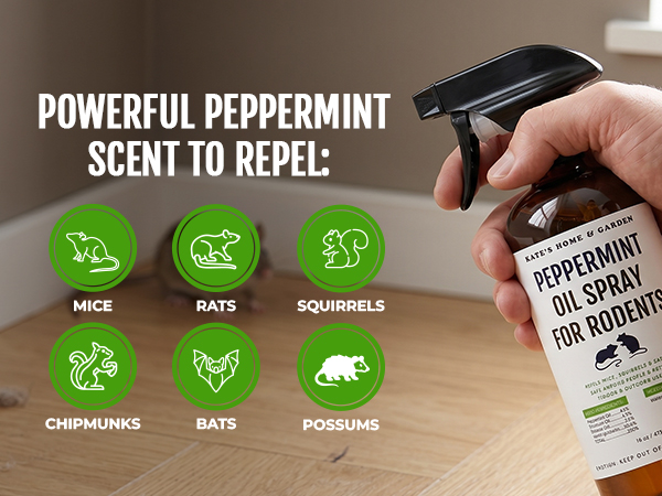 rodent repellent mouse rat peppermint oil