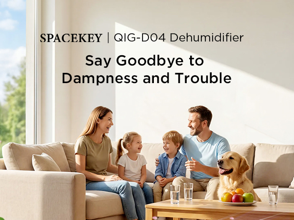 high efficiency dehumidifier for large rooms 1000sq.ft